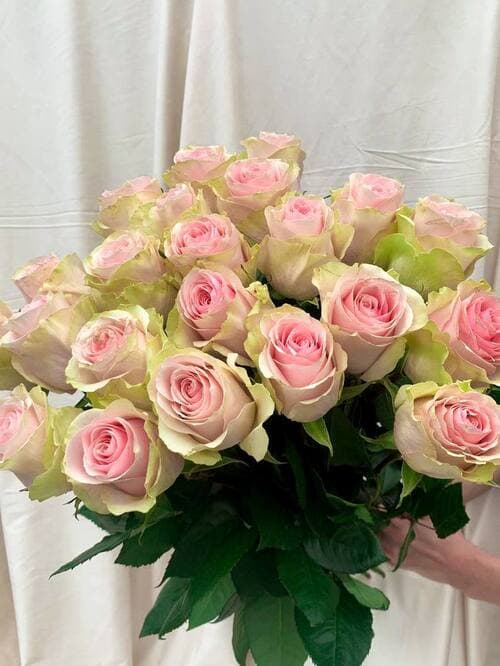 Монобукет из светлых роз